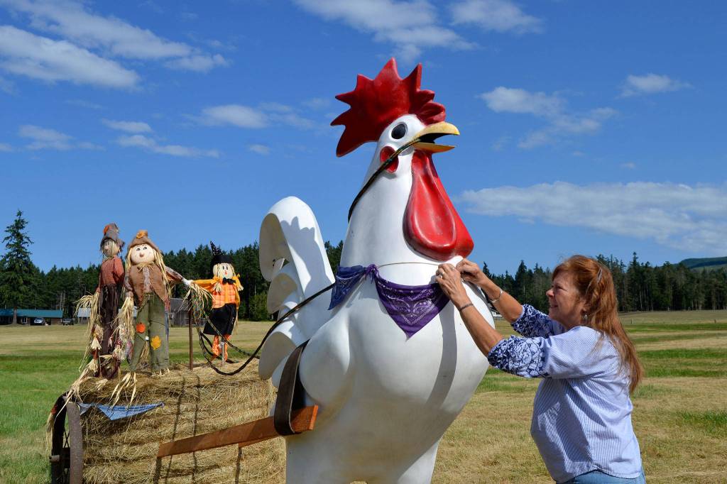 Trish Bekkevars brother-in-law Jim discovered this giant rooster in some brush, and after inquiring about it, he purchased a tractor and the rooster, which he gave to Trish. Shes used it for displays two summers-in-a-row now. Sequim Gazette photo by Matthew Nash