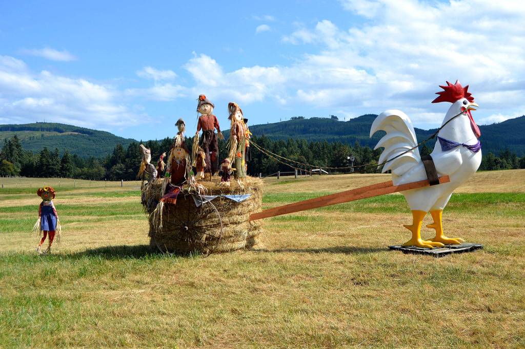 Coming in or out of Blyn, drivers should easily see the Bekkevar Family Farms rooster ride, an annual tradition on the farm where art goes up once hay is cut in July. Sequim Gazette photo by Matthew Nash