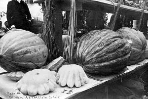 A look at back at Clallam County’s first fair