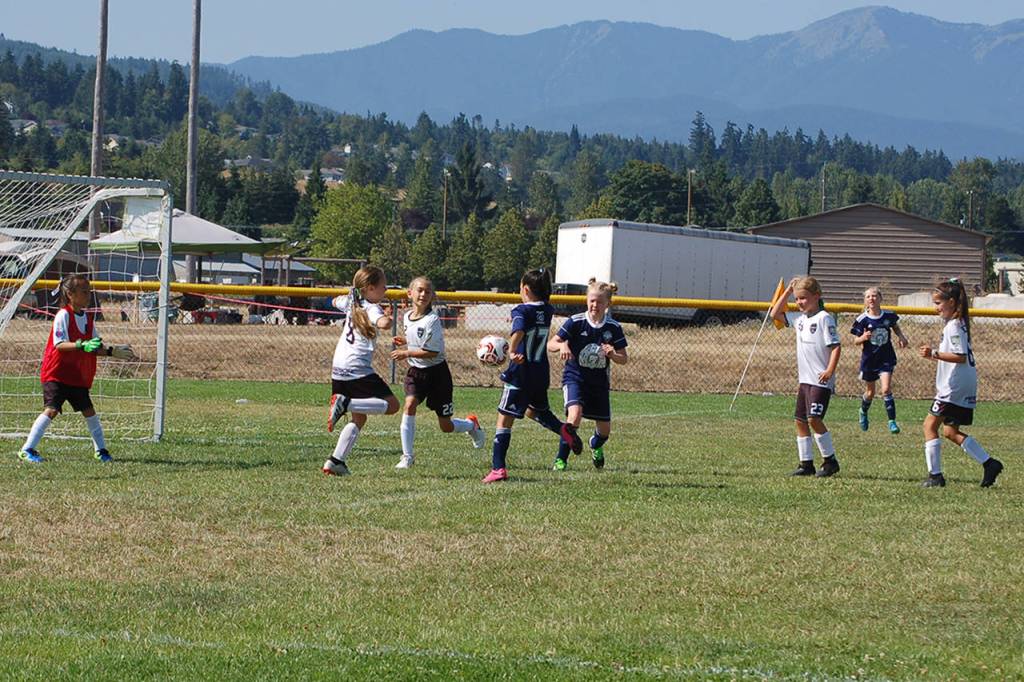 Storm King girls U9-U10 attackers (blue shirts) swarm the box on an early corner kick against Harbor Youth Soccer Club (white shirts) on Aug. 4. Storm King went on to win that match 3-1 to seal their division championship on points. Sequim Gazette photo by Conor Dowley.