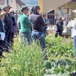 Laurel Moulton, WSU Clallam County Extension Master Gardener Coordinator, talks to participants in a recent Second Saturday Garden Walk in the Fifth Street Community Garden in Port Angeles. Photo by Amy McIntyre