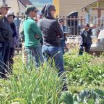 Get gardening tips at Second Saturday Garden Walk