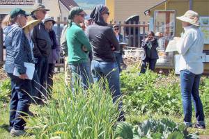 Get gardening tips at Second Saturday Garden Walk