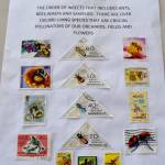 Bruce Halstead, a retired biologist, compiled this exhibit on hymenoptera for the Strait Stamp Society. Sequim Gazette photo by Matthew Nash