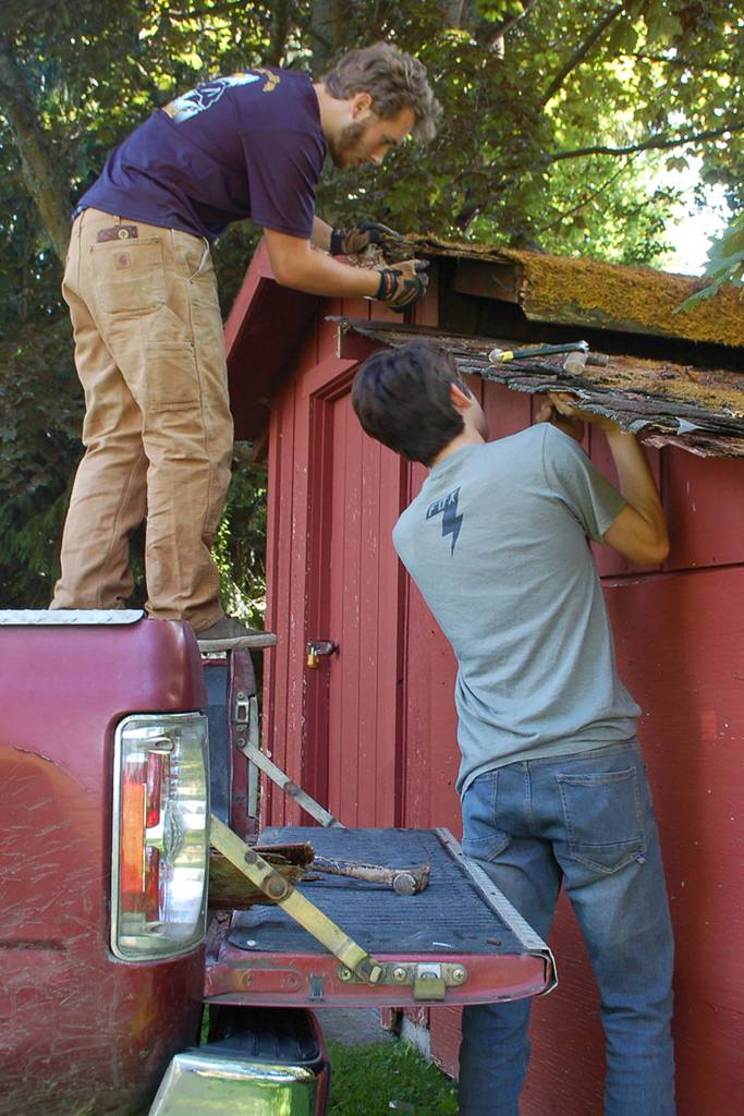Eagle Scout candidate Ian Thill and Sergio Yanez work on removing a section of the lower roof of the Pioneer Memorial Park storage shed. Sequim Gazette photos by Conor Dowley