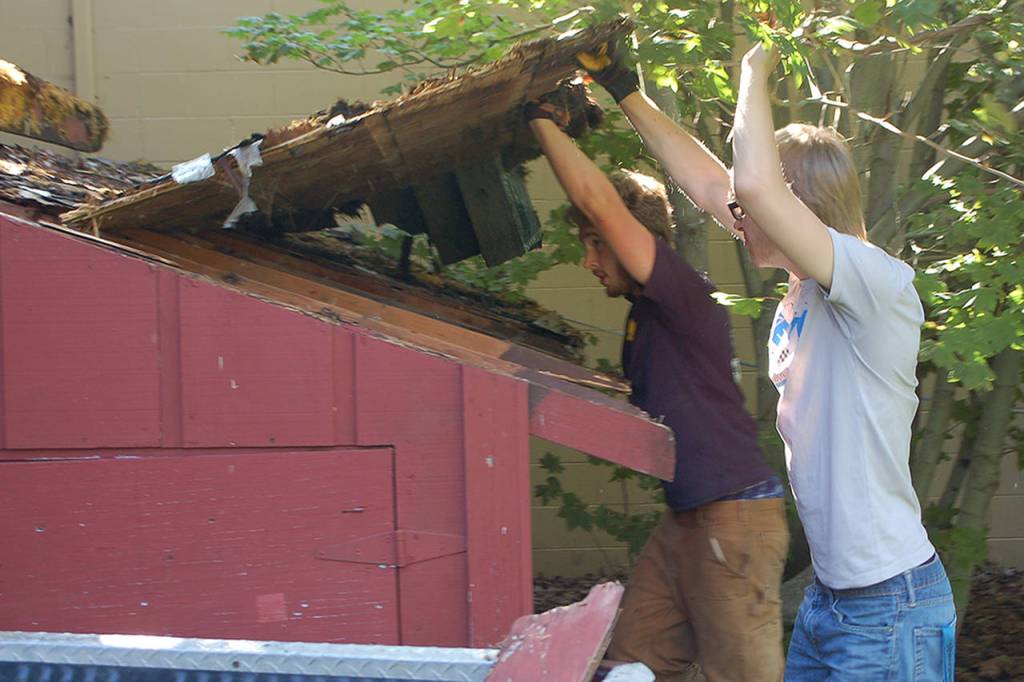 Eagle Scout candidate Ian Thill, back, and Dylan Washburn, front, lift up the first section of the Pioneer Memorial Park storage shed roof as part of Thills Eagle Scout project. This roof was in worse shape than we thought, Thill said partway through the process, remarking that hed been hoping to save some of the support beams. In the end, they had to remove them all because of rot and other degradation. Sequim Gazette photo by Conor Dowley