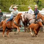Sequim High Schooler Amelia Hermann looks to snag her steer during the Breakaway Roping event at Sunday&rsquo;s rodeo. She did it in 4 seconds. See more fair photos on A-15 and A-16. Sequim Gazette photo by Matthew Nash