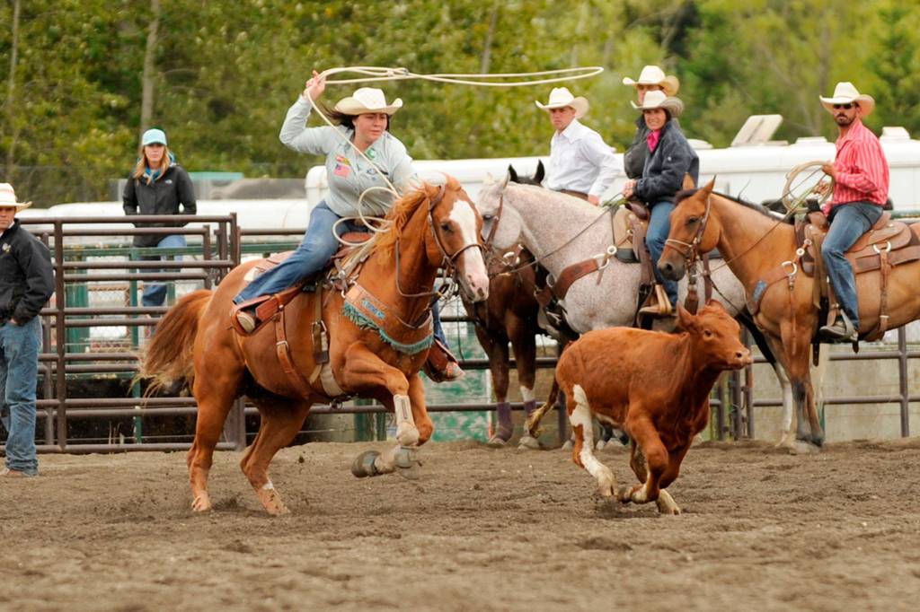 Sequim High Schooler Amelia Hermann looks to snag her steer during the Breakaway Roping event at Sunday&rsquo;s rodeo. She did it in 4 seconds. See more fair photos on A-15 and A-16. Sequim Gazette photo by Matthew Nash