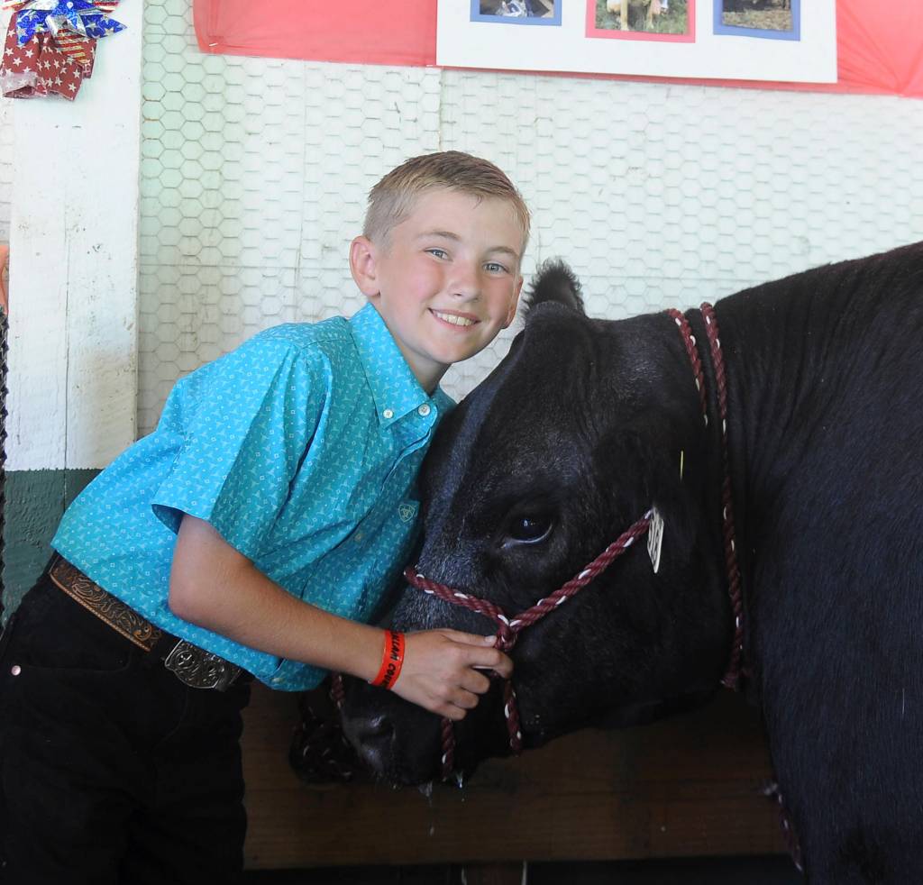 Levi Breithaupt, a 10-year-old who will enter Greywolf Elementary School as a fifth -grader next year, shows his steer Frostbite at the Clallam County Fair last week. A five-year veteran of 4-H, Breithaupt has show a variety of livestock at the county fair, including chickens, turkeys and cattle. It was his first year raising steer for the junior livestock auction. I worked very hard to raise Frostbite and did all the feeding and watering on my own, Breithaupt wrote.