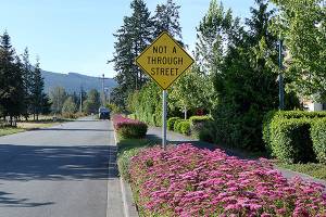 City seeks input on possible connector street