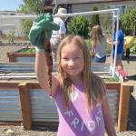 Cheyanne Stuenkel works in the garden along Fir Street at the Sequim Boys & Girls Club last week. Submitted photo