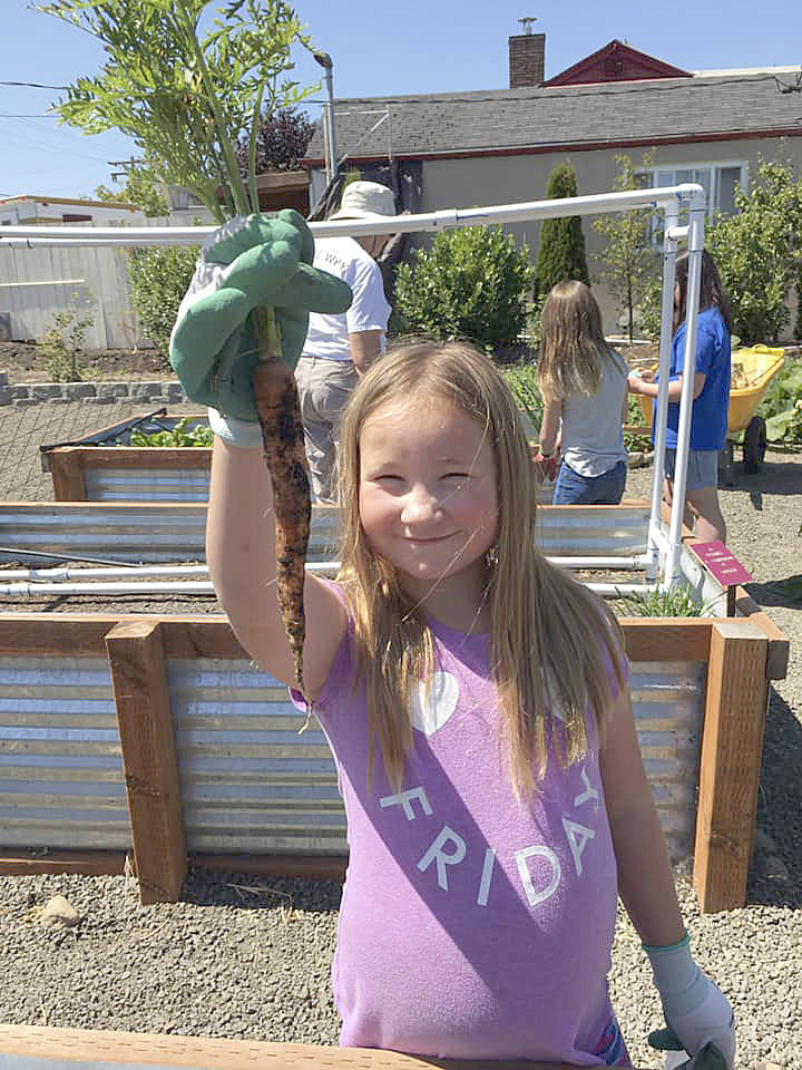 Cheyanne Stuenkel works in the garden along Fir Street at the Sequim Boys & Girls Club last week. Submitted photo