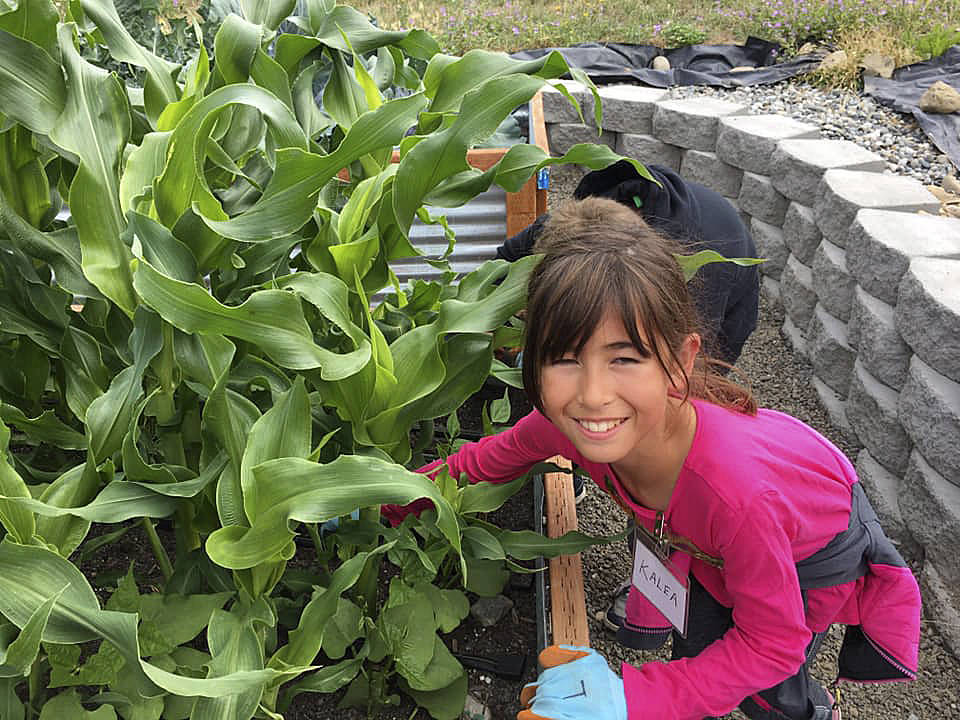 Kalea Keate works in the garden along Fir Street at the Sequim Boys & Girls Club last week. Submitted photo