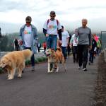 Lisa Boulware and Mark Ozias walk with their dogs while talking with Eric Lewis, chief executive officer for Olympic Medical Center during the Sequim Free Clinics 2018 Fun Walk. Sequim Gazette file photo by Matthew Nash