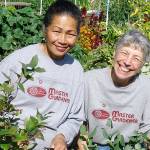 Talking blueberries in the garden