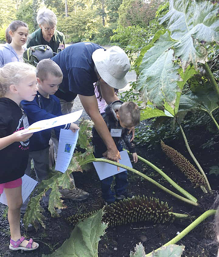 Garden Club members explore Heronswood, a tropical garden in Port Gamble, during the last week of the Boys & Girls Clubs summer activities. Submitted photo