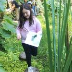 Garden Club members explore Heronswood, a tropical garden in Port Gamble, during the last week of the Boys & Girls Clubs summer activities. Submitted photo