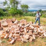 From left, Sequim Sunrise Rotarians Jack Tatom, Tom Schaafsma and Chris Coolures prep the next batch of firewood for the clubs fundraiser. The Rotarys wood-cutting crew cut, split, deliver and stack wood; cost is $225 per cord, delivered locally. To order, call Tatom at 360-681-3845 or Schaafsma 360-670-9358. Photo by Bob Lampert