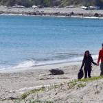 Turn tide on trash at International Coastal Cleanup Day