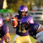 Wolf of the Week, Week 1: Taig Wiker