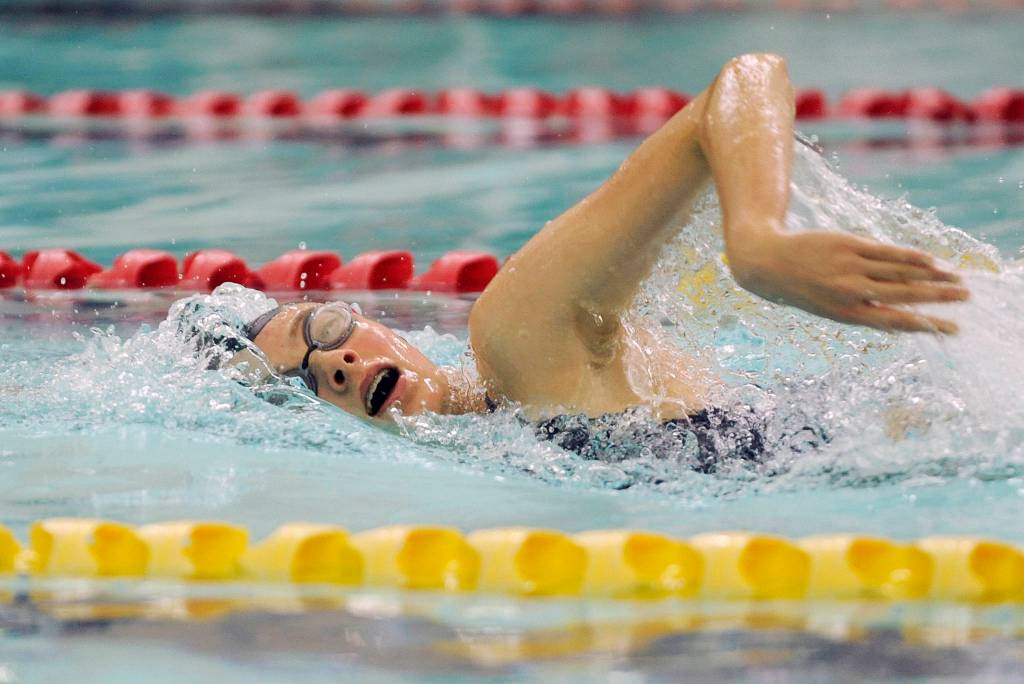 Sequims Mia Coffman posts the Wolves first state 2A meet-qualifying time, completing the 20-lap 500 freestyle event in the 500-yard freestyle, finishing first in a time of 5:42.69 against Port Angeles on Sept. 19. She also qualified for districts in the 100-yard backstroke. Sequim Gazette photo by Michael Dashiell