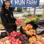 Noah Lowe showcases this seasons delicious potatoes at the River Run Farm booth. Photo courtesy of April Hammerand/Sequim Farmers Market