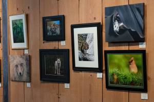 Coming into focus: Olympic Peaks Camera Club looks to bring photographers of all levels together