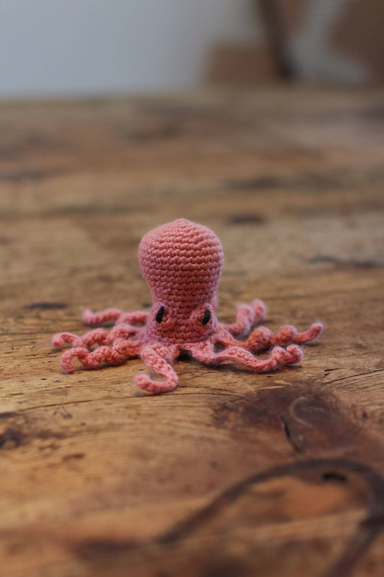 The Port Angeles Library hosts workshops to put shape to Orla the Octopus in November. Photo courtesy of North Olympic Library System