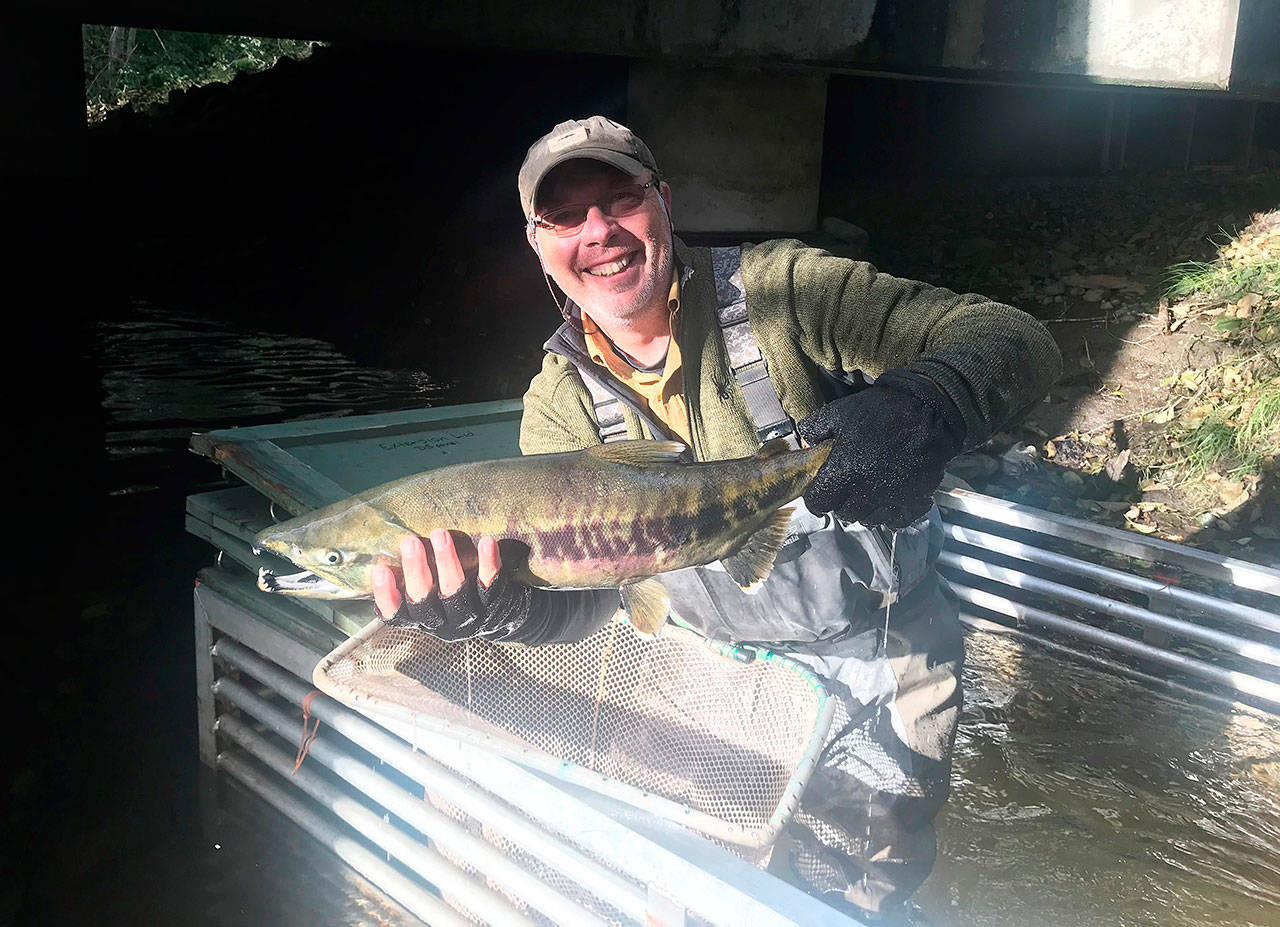 Michael Blanton displays a summer chum at Jimmycomelately Creek. Photo by Dave Shreffler