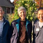 Get It Growing: Plant your own gourmet garlic