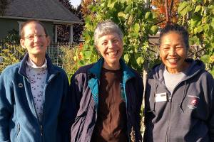 Get It Growing: Plant your own gourmet garlic