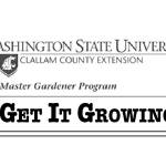 Get It Growing: Five steps to putting the garden to bed