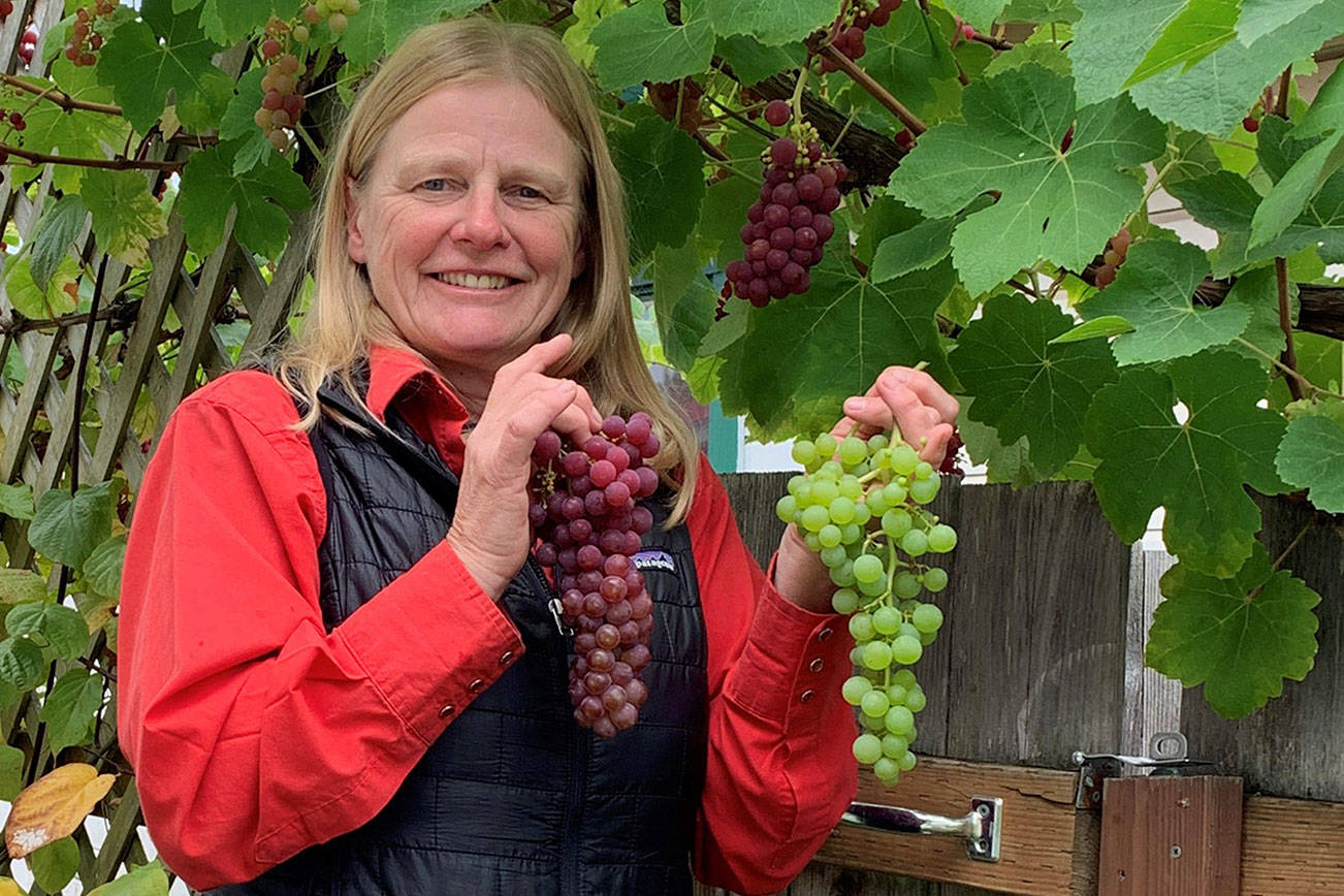 Barkhuis spotlights 'Table Grapes' at next Green Thumb talk