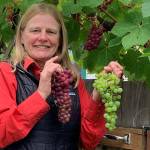 Barkhuis spotlights ‘Table Grapes’ at next Green Thumb talk