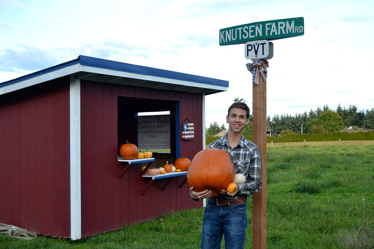 Come Oct. 19, Carson Holt will have sold Pumpkins for a Cause for seven years. He plans to donate his proceeds to the Civil Air Patrol and Captain Joseph House. Last year, he raised $1,900 for the two groups. Sequim Gazette photo by Matthew Nash