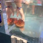 Hands-on seashore learning at the library