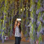 Debbie Ferreria of Bellview takes a selfie in the barn of Kitty Bs Lavender Farm on July 22, 2018. It was her first time visiting a Sequim lavender farm. The photo earned earned Sequim Gazette reporter Matthew Nash a second place award in the Color Feature Photo category at the the Washington Newspaper Publishers Associations 2019 Better Newspaper Contest. Sequim Gazette photo by Matthew Nash