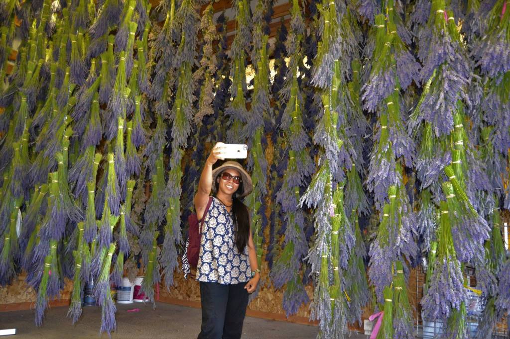 Debbie Ferreria of Bellview takes a selfie in the barn of Kitty Bs Lavender Farm on July 22, 2018. It was her first time visiting a Sequim lavender farm. The photo earned earned Sequim Gazette reporter Matthew Nash a second place award in the Color Feature Photo category at the the Washington Newspaper Publishers Associations 2019 Better Newspaper Contest. Sequim Gazette photo by Matthew Nash