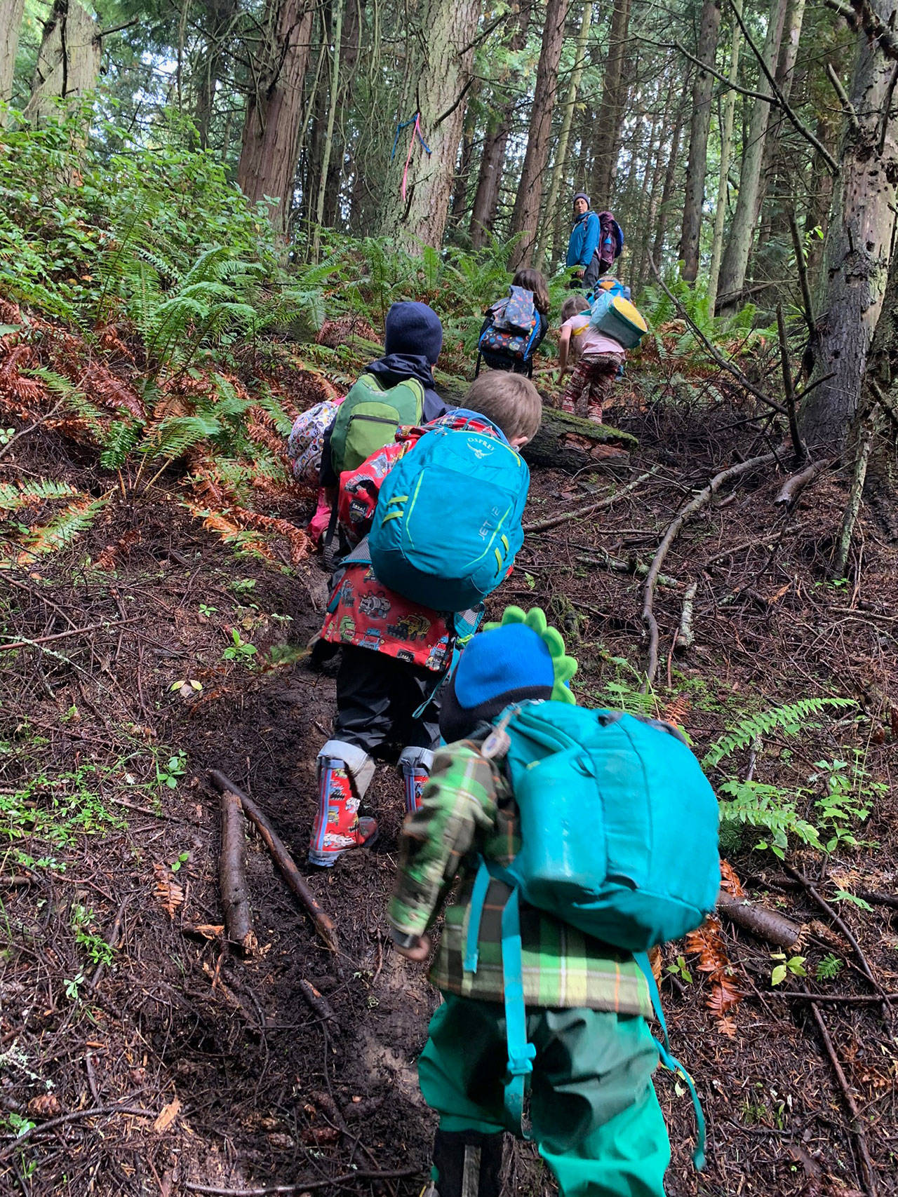 Children participate in a hike as part of one of Olympic Nature Experiences programs. The organization recently received a $5,000 grant from the Benjamin N. Phillips Memorial Fund. Photo courtesy of Olympic Nature Experience