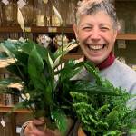 Beat winter blues with houseplants
