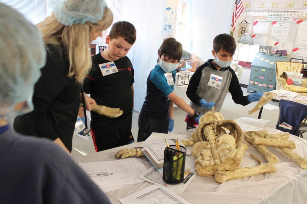 Above, Greywolf Elementary third-grader Addisyn Tate checks out x-rays during a recent classroom project. Below, Greywolf teacher Sheri Burke joins students J.D. Kessler, Drake Cambell and Lucien Wolfley in a recent lesson in medicine. Photos by Darcy Lamb
