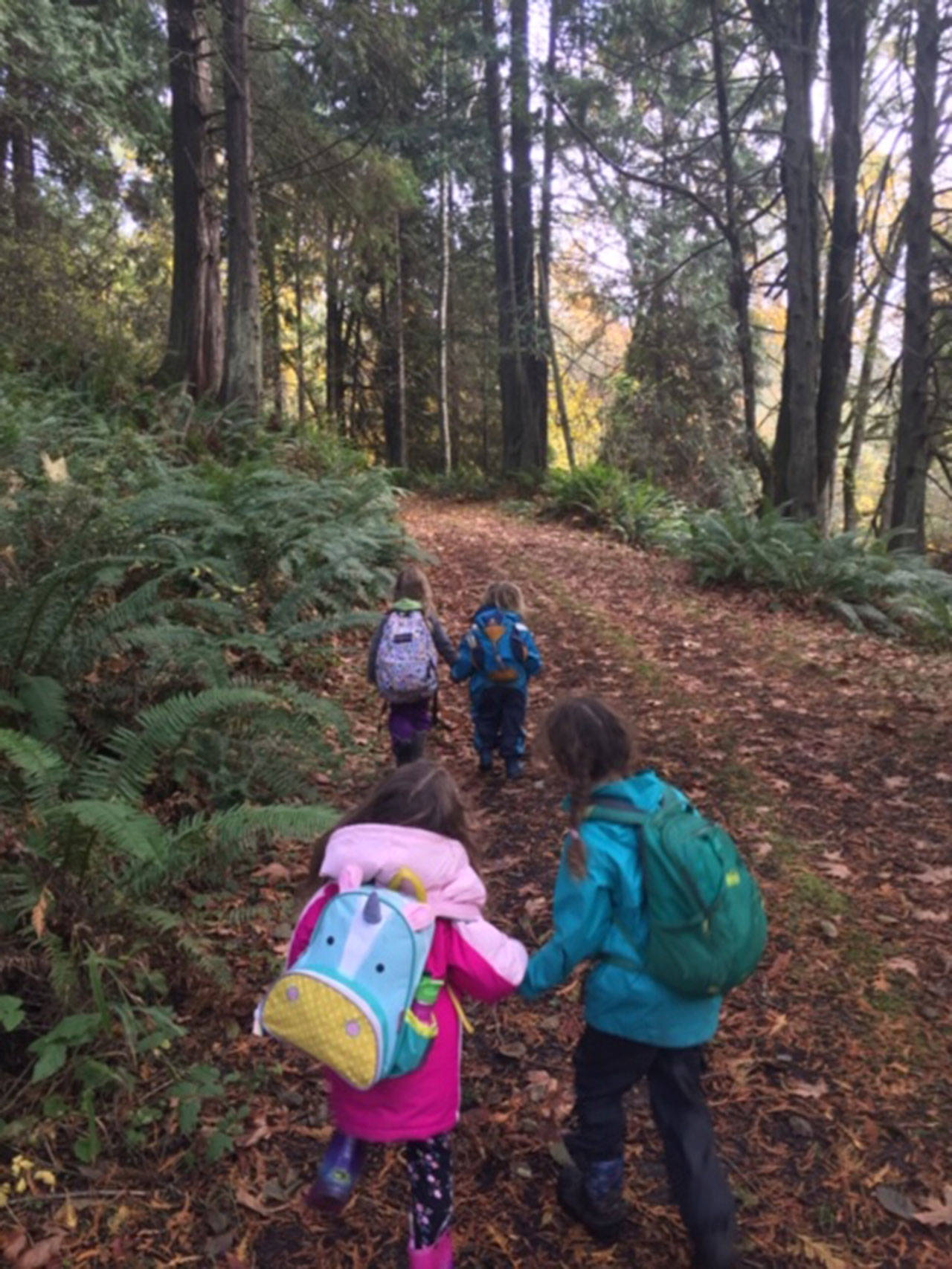 Olympic Nature Experience hosts three special events in coming days and weeks to celebrate and support childrens nature-based education and mentoring programs. Photo courtesy of Olympic Nature Experience