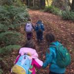 Olympic Nature Experience sets 50 Days of Fall Sharing to support nature time for community