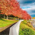 City to send proposal to port for John Wayne Marina
