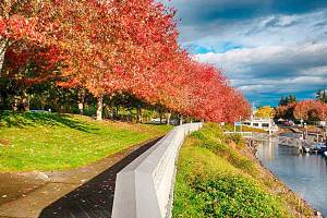 City to send proposal to port for John Wayne Marina