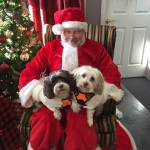 Milestone: Windermere raises the ‘woof’ for OPHS