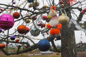 Sequim bicyclists show season’s spirit with arboreal adornments