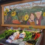 Nash’s Organic Produce reduces store size