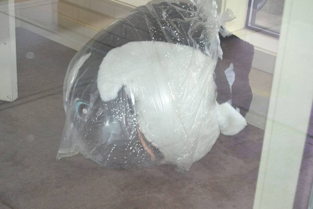 A costume for Sound Community Banks mascot Sounder sustained water damage from flooding on Dec. 20 but staff said theyll be able to clean and use it again. Sequim Gazette photo by Matthew Nash