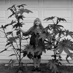 Sequim Organic Gardners look to cultivate group growth, leaders